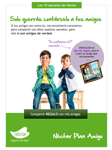 Diseño Newsletter | Néctar Seguros